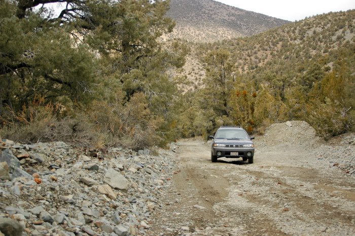 dsc_0143 The Sube on the way to Telescope Peak, Death Valley NP