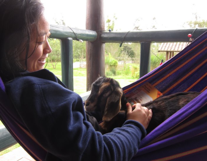 Goat and I, lounging in the hammock