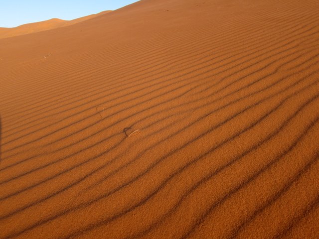 The dunes of Erg Chebby