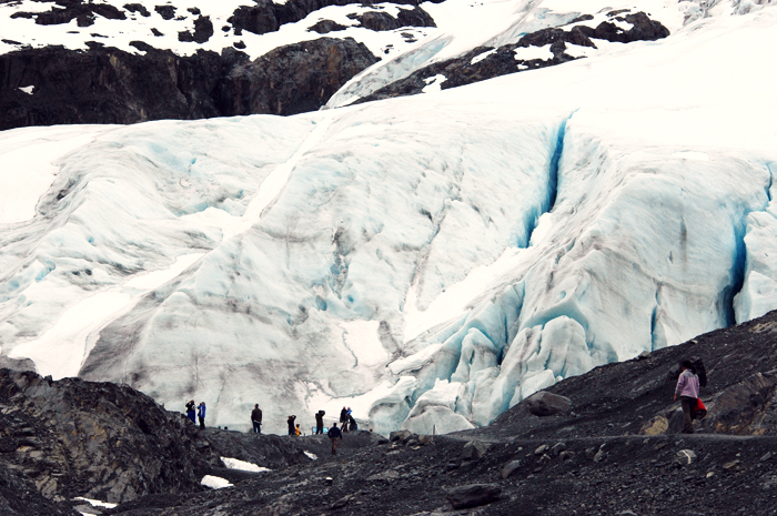 Exit Glacier at Kenai Fjords National Park
