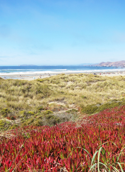 Dillon Beach, Highway 1 north of San Francisco Dillon Beach, Highway 1 north of San Francisco