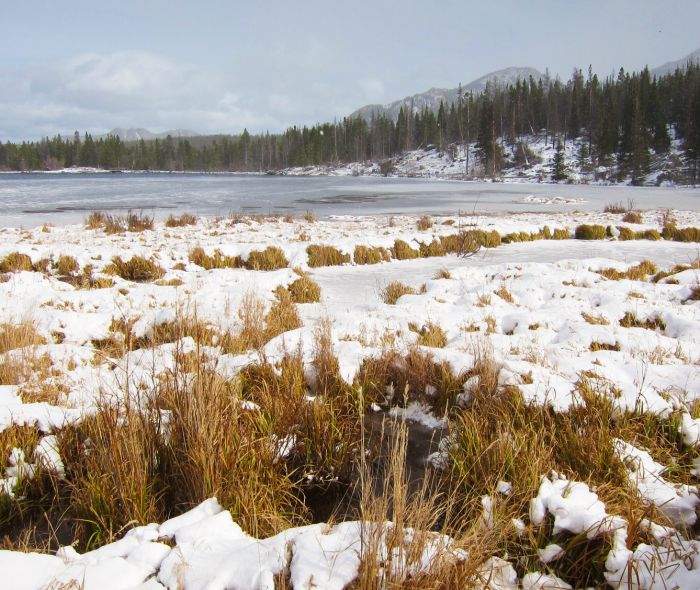Sprague Lake Rocky Mountain NP Sprague Lake Rocky Mountain NP
