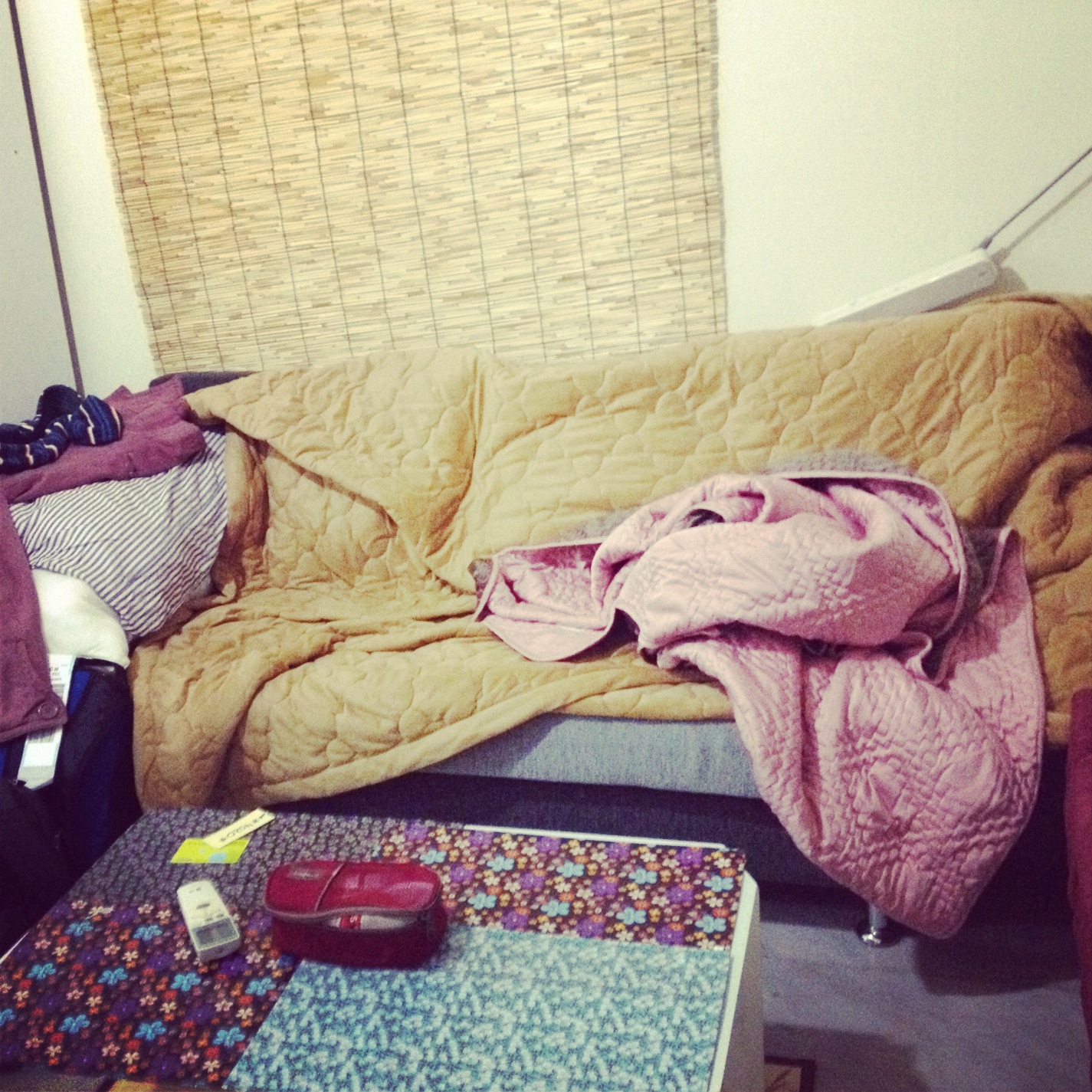 Couchsurfing in Seoul Korea