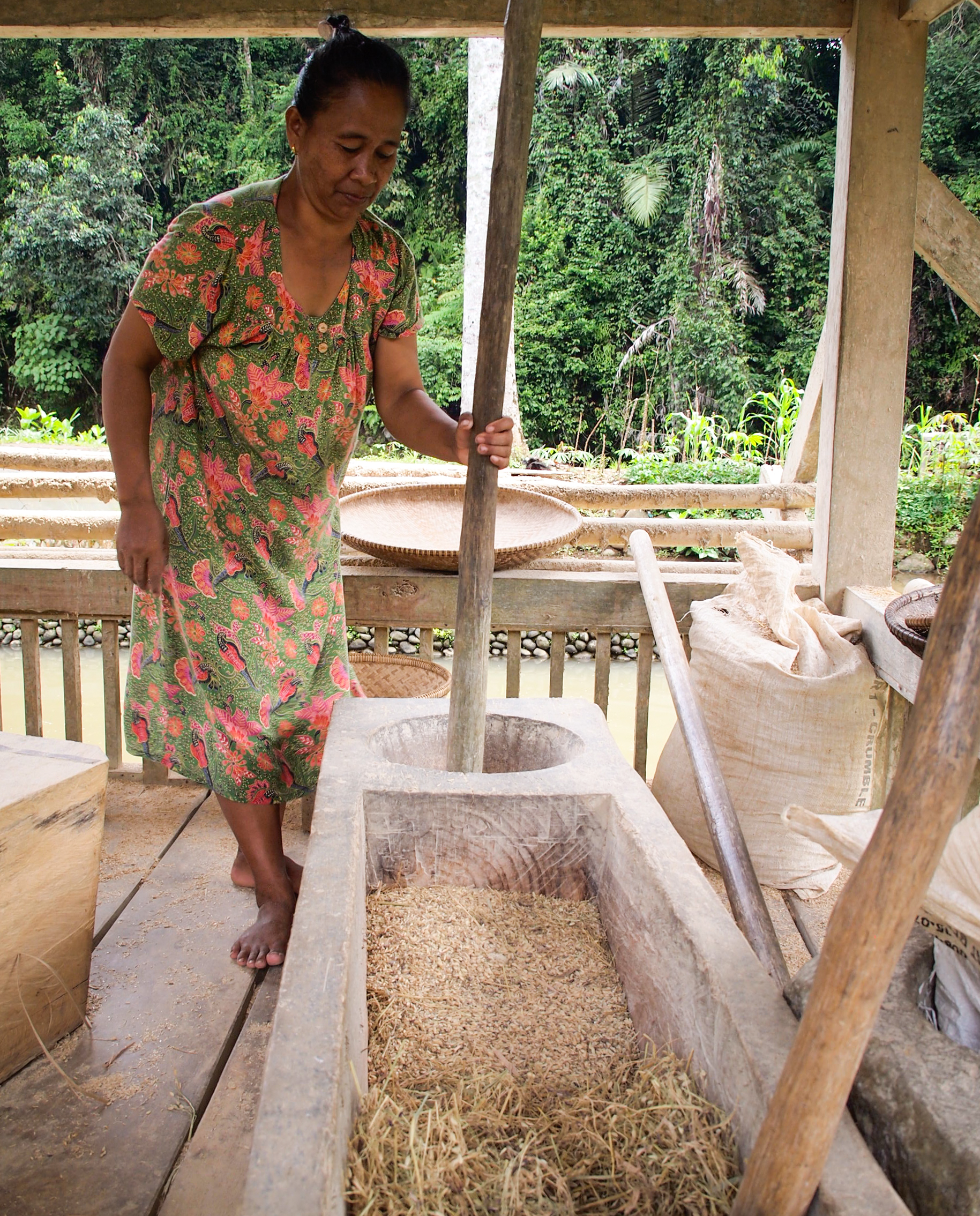 pounding rice in Kampung Naga Tasikmalaya