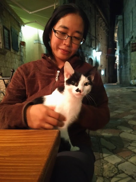 Making friends with a local cat