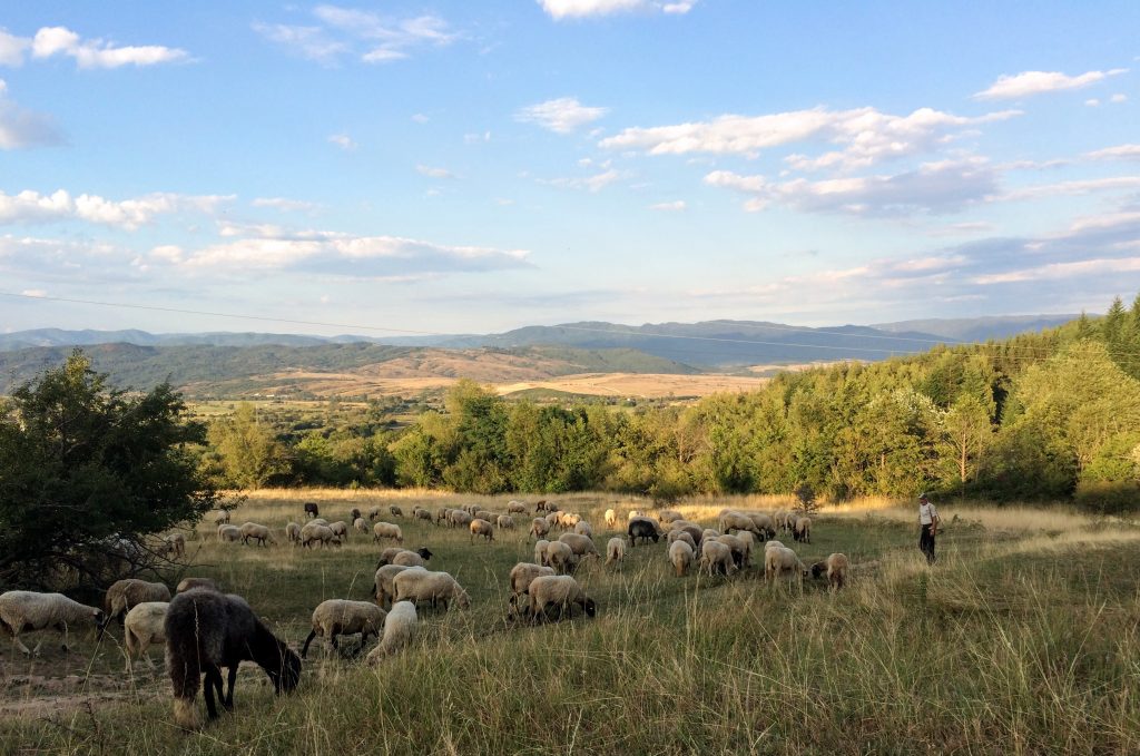 Bansko countryside