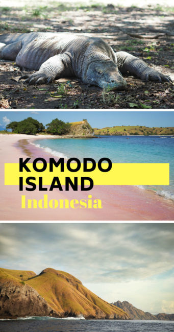 Island hopping guide to a pink beach, komodo dragons, and more in Flores, Indonesia